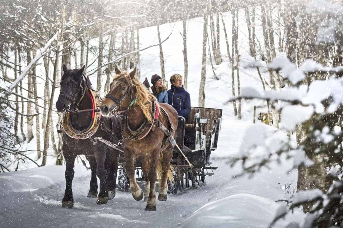 Glemmy Winter Pferdekutsche